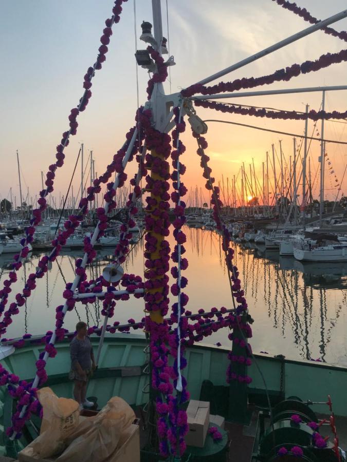 Apartmán Le Tricorne Saint-Vaast-la-Hougue Exteriér fotografie